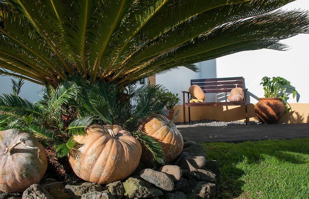 オルタ Vila Belgica Bed & Breakfast エクステリア 写真