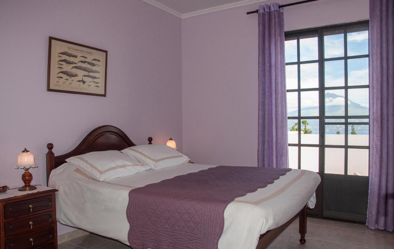 オルタ Vila Belgica Bed & Breakfast エクステリア 写真